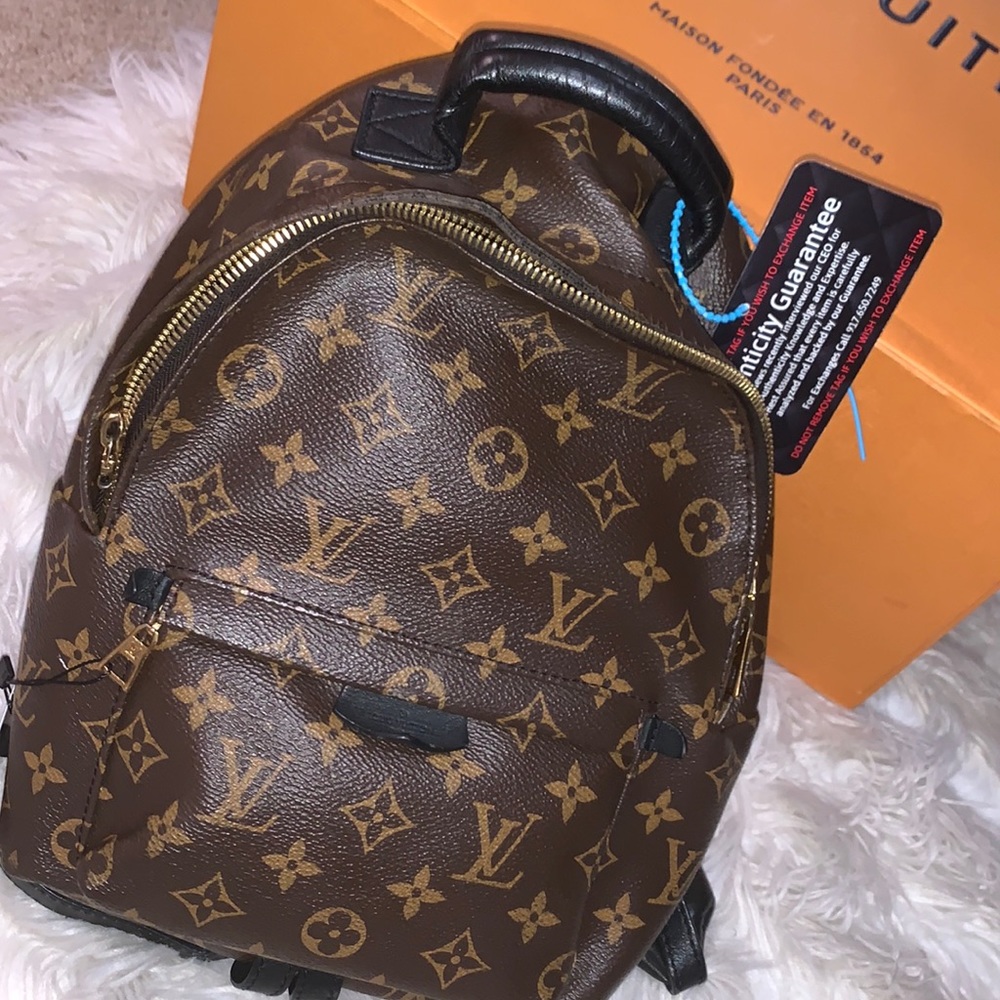 Louis Vuitton Monogram backpack PM